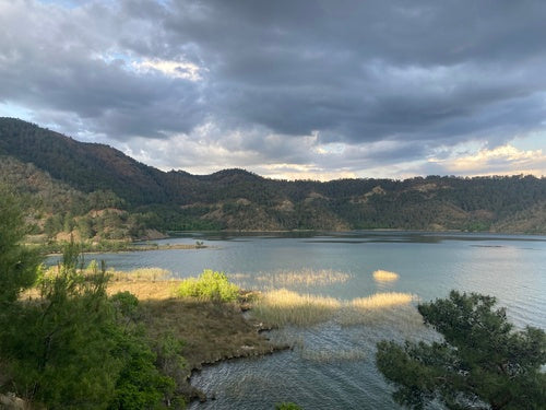 Naturaufnahme - Bild 8