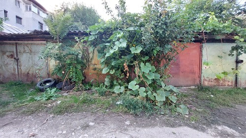 Citrouille — photo 5 sur 12