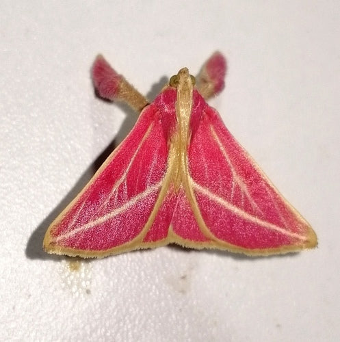 Naturaufnahme - Bild 3