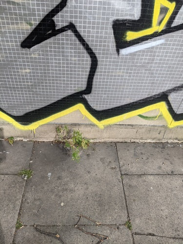 Lentilles — Bild 3