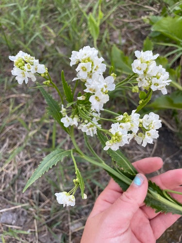 Naturaufnahme - Bild 2