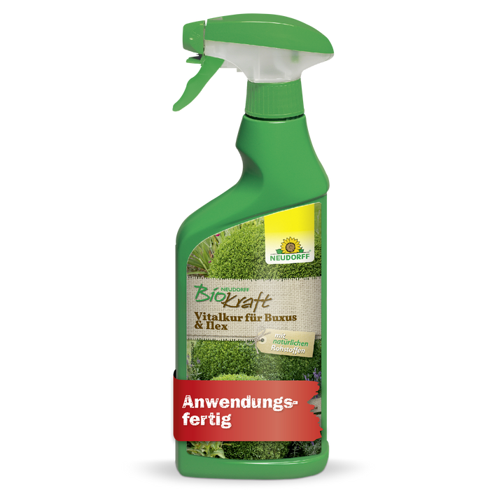 Neudorff BioKraft traitement vital pour Buis & Ilex - Silberkraft