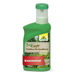 Neudorff BioKraft traitement vital pour conifères - Silberkraft