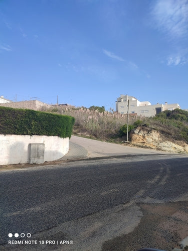 Herbe de la pampa — Bild 3