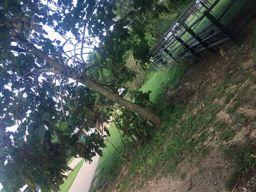 Naturaufnahme - Bild 2