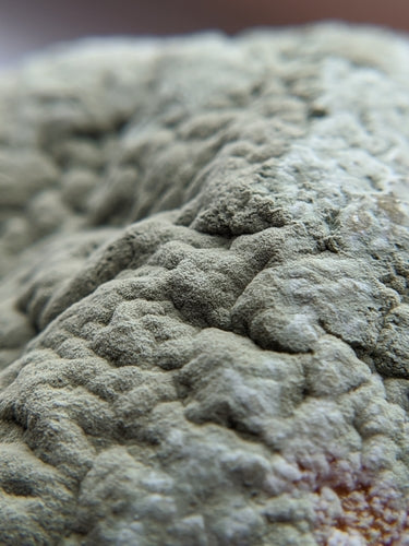 Moule à pinceaux — Bild 4