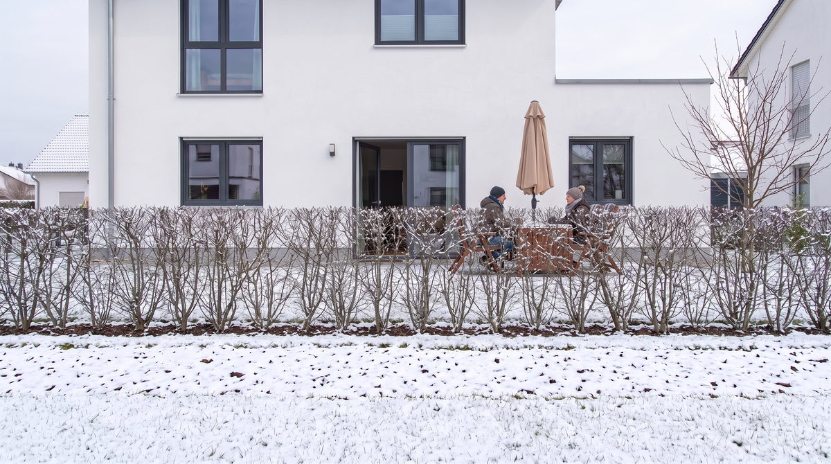 Érable champêtre en haie de 1,80 m (Hiver) devant la terrasse des voisins – visualisation IA