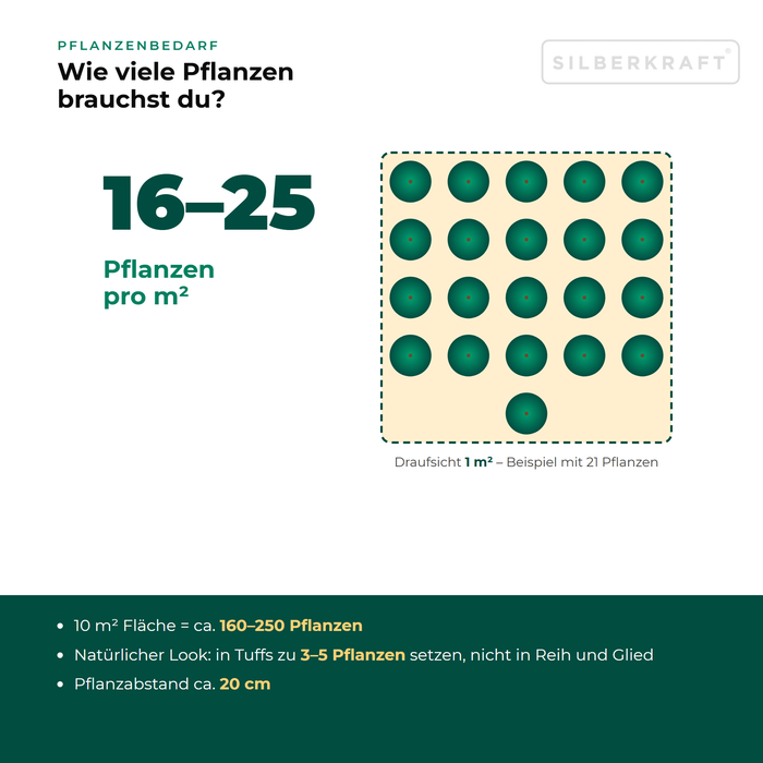 Pflanzenbedarf Echte Schlüsselblume (Primula veris): 16–25 Pflanzen pro m², 10 m² Fläche = ca. 160–250 Pflanzen