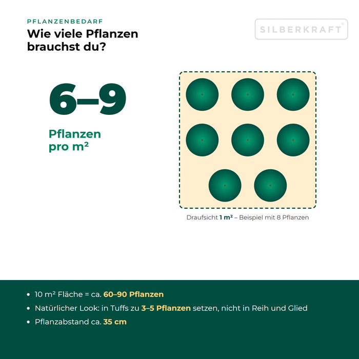 Pflanzenbedarf Gelber Wau (Reseda lutea): 6–9 Pflanzen pro m², 10 m² Fläche = ca. 60–90 Pflanzen
