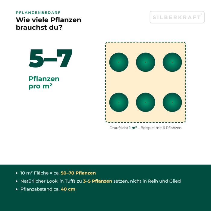 Pflanzenbedarf Gemeine Wegwarte (Cichorium intybus): 5–7 Pflanzen pro m², 10 m² Fläche = ca. 50–70 Pflanzen