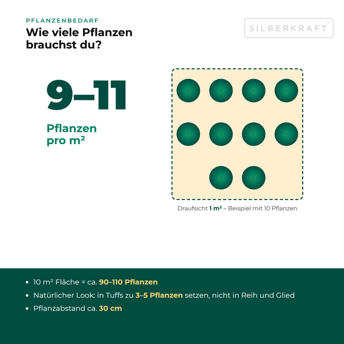 Pflanzenbedarf Gewöhnliches Leimkraut (Silene vulgaris): 9–11 Pflanzen pro m², 10 m² Fläche = ca. 90–110 Pflanzen