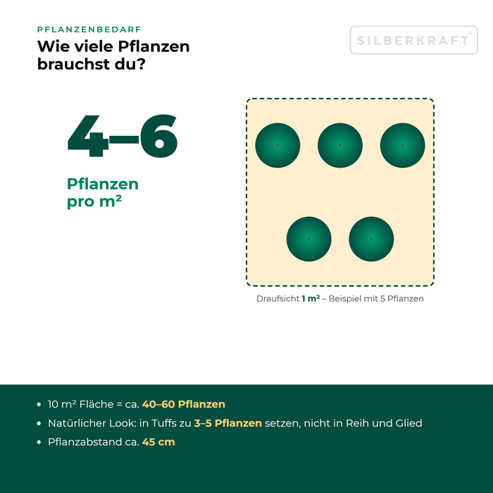 Pflanzenbedarf Gold-Wolfsmilch (Euphorbia polychroma): 4–6 Pflanzen pro m², 10 m² Fläche = ca. 40–60 Pflanzen