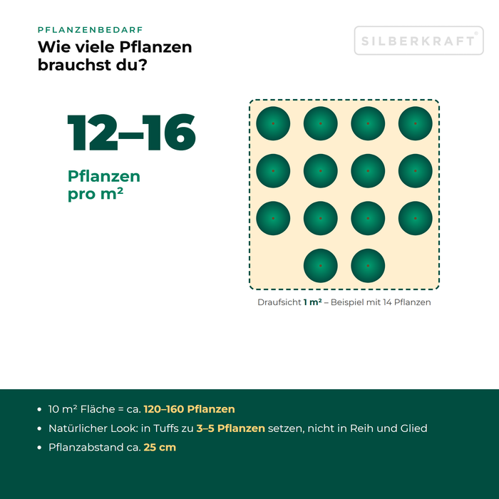 Pflanzenbedarf Knolliger Hahnenfuß (Ranunculus bulbosus): 12–16 Pflanzen pro m², 10 m² Fläche = ca. 120–160 Pflanzen
