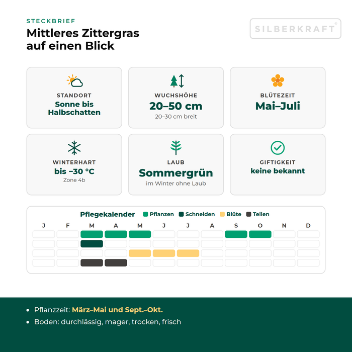 Steckbrief Mittleres Zittergras (Briza media) mit Standort, Wuchshöhe, Winterhärte, Giftigkeit und Pflegekalender