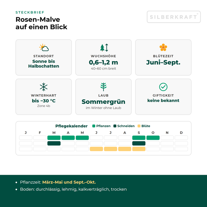 Steckbrief Rosen-Malve (Malva alcea) mit Standort, Wuchshöhe, Winterhärte, Giftigkeit und Pflegekalender