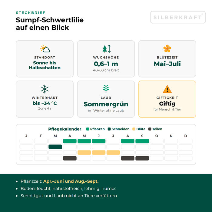 Steckbrief Sumpf-Schwertlilie (Iris pseudacorus) mit Standort, Wuchshöhe, Winterhärte, Giftigkeit und Pflegekalender