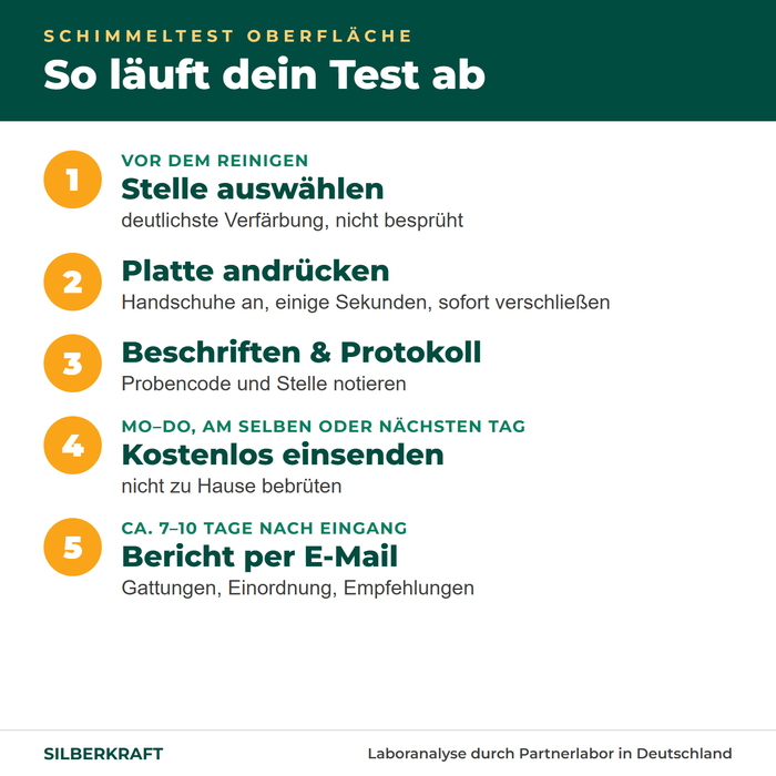 Déroulement du test de surface : choisir l'endroit, appuyer la plaque, étiqueter, envoyer, rapport en 7–10 jours