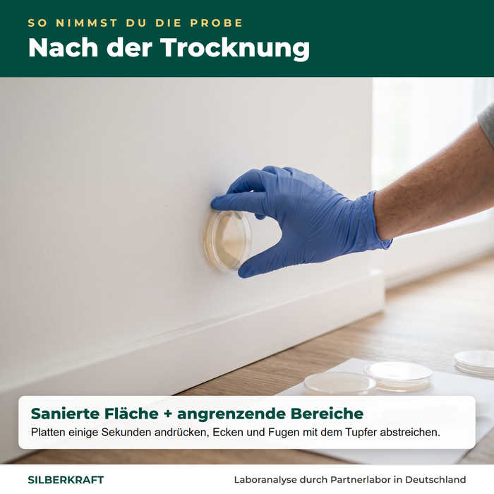 Prélèvement sur le mur assaini et sec avec des gants