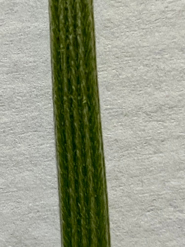 Plantain lancéolé — Bild 5