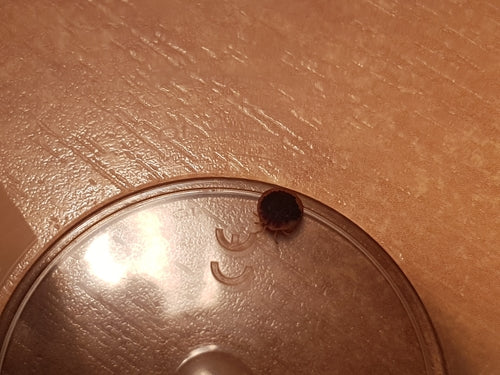 Naturaufnahme - Bild 8