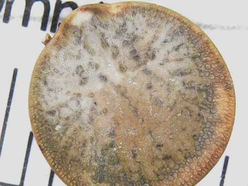 Naturaufnahme - Bild 2