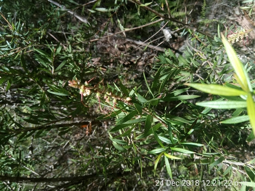 Nettoyant cylindre — Bild 5