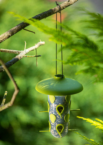 Mangeoire à Oiseaux - Station d'Alimentation Multifonctionnelle pour Oiseaux - 22cm