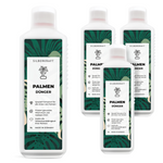 Engrais pour palmiers - Engrais liquide minéral NPK avec azote - Engrais pour palmiers - Engrais pour palmiers Yucca - Fertiliser les palmiers - Silberkraft