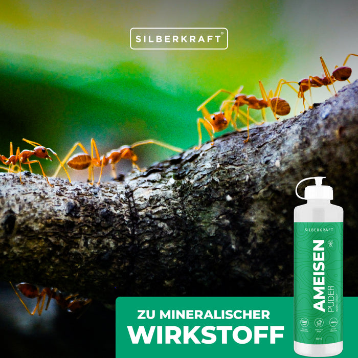 Poudre anti-fourmis – remède anti-fourmis pour l’intérieur et l’extérieur – 100 % terre de diatomées – alternative aux appâts et sprays anti-fourmis