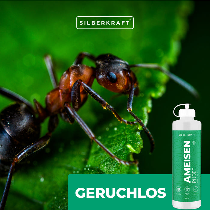 Poudre anti-fourmis – remède anti-fourmis pour l’intérieur et l’extérieur – 100 % terre de diatomées – alternative aux appâts et sprays anti-fourmis