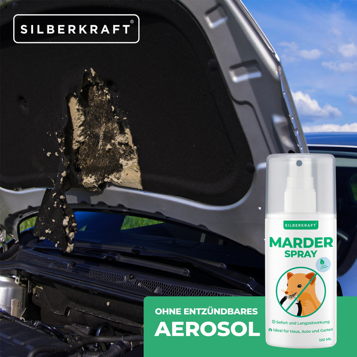 pulvérisation de martre