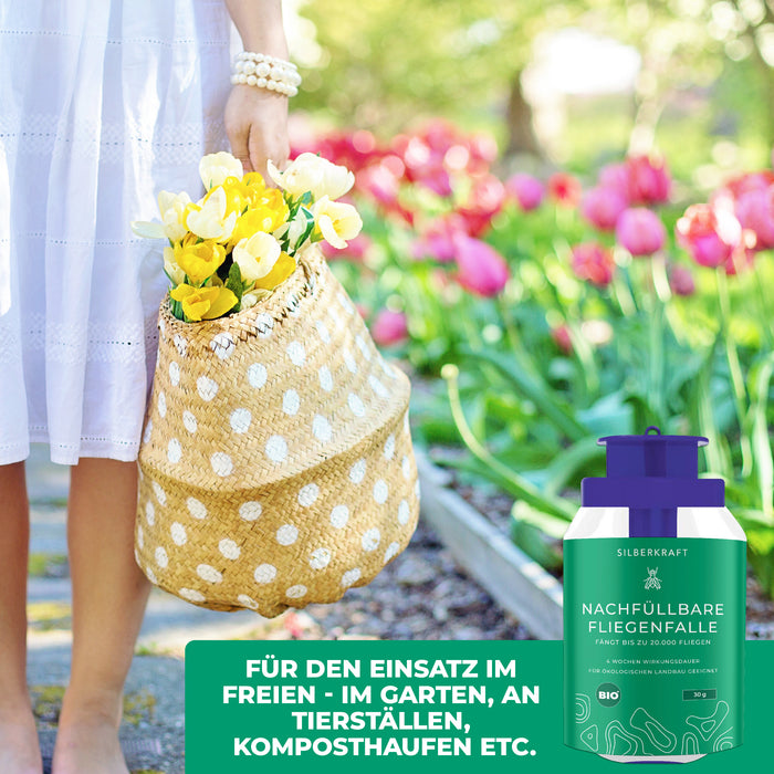 Flycatcher - piège à mouches